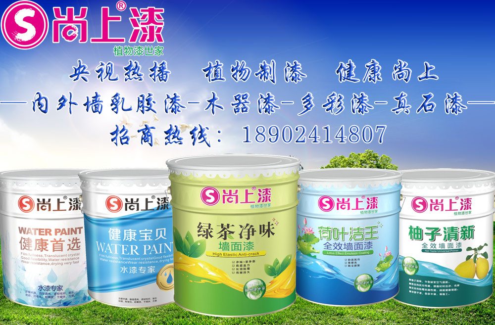 艺术涂料代理加盟全攻略 从国际品牌选择到施工培训一体化